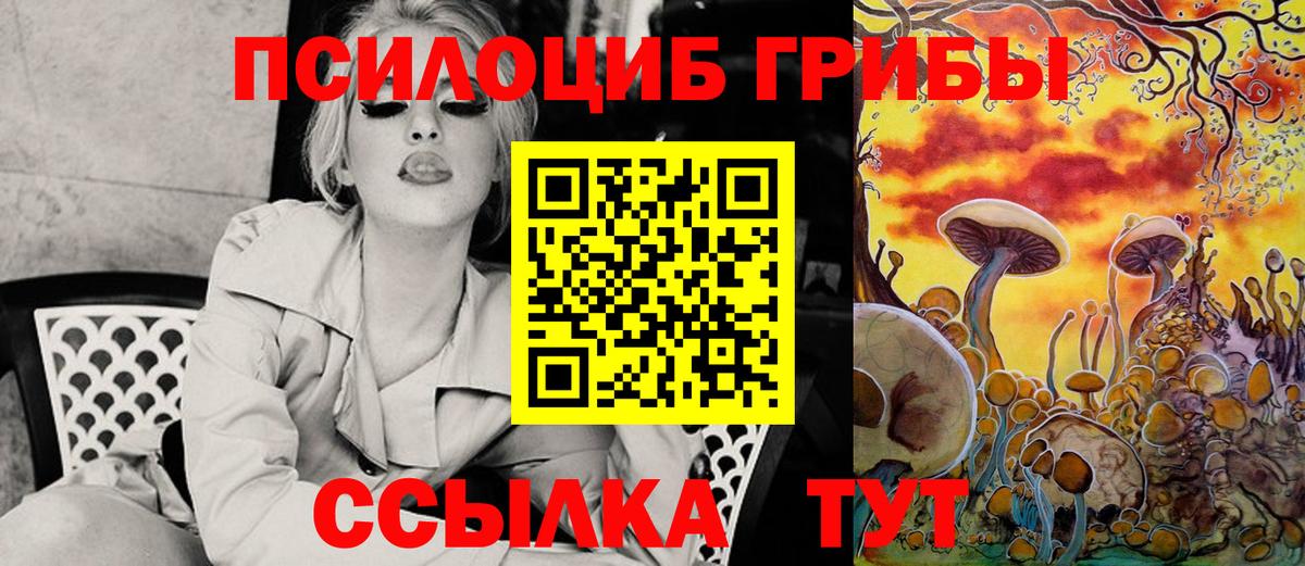 Боровичи  Псилоцибиновые грибы GOLDEN TEACHER  Галлюциногенные грибы Cubensis  Вход с VPN 